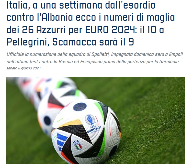 意大利欧洲杯号码：佩莱格里尼10号，斯卡马卡9号，若日尼奥8号